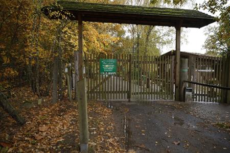 Die Polizei untersucht, wie es zu dem Angriff eines Wolf im Wildpark Johannismühle kommen konnte. 