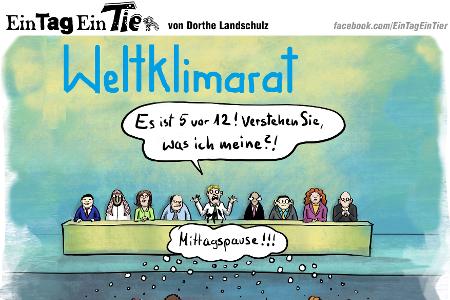 EIN_TAG_EIN_TIER