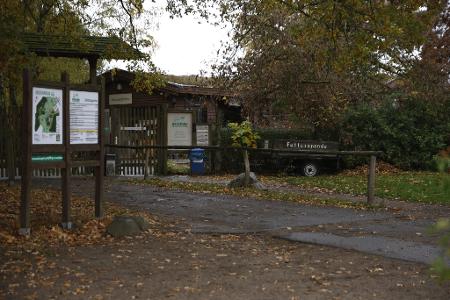 Der Wildpark bleibt nach dem Wolfsangriff auf ein achtjähriges Mädchen vorerst geschlossen. 