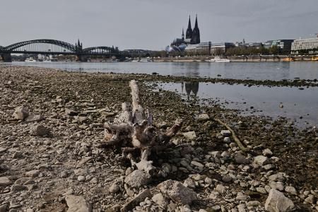 Das Niedrigwasser am Rhein bremste die deutsche Wirtschaft - dennoch legte sie im Sommer zu. (Archivbild)