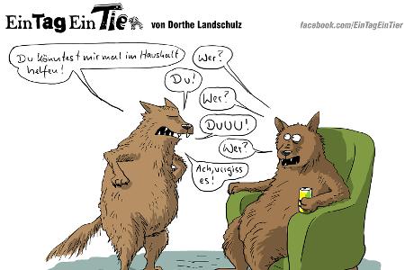 EIN_TAG_EIN_TIER